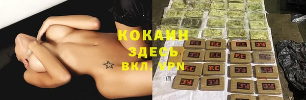 spice Белокуриха