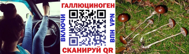где можно купить   Бородино  Псилоцибиновые грибы ЛСД 